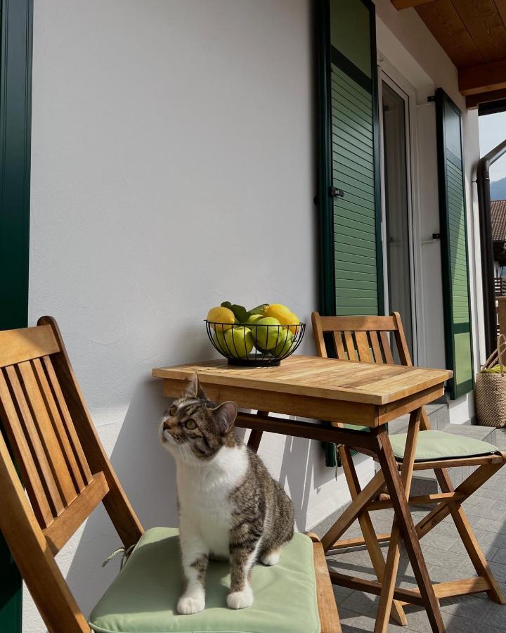 B&B La Casa Del Sole Ziano di Fiemme Dış mekan fotoğraf